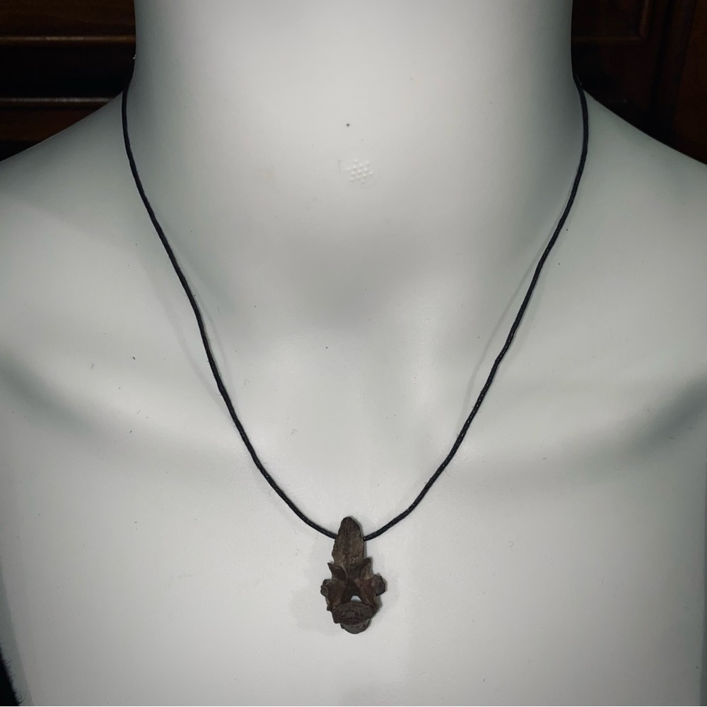 Dyed Possum Vertebrae Bone Cord Necklace